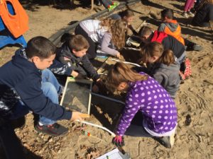 Students digging and sifting sand